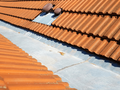 About Leaking Skylight Repair Pros Delaware, AR